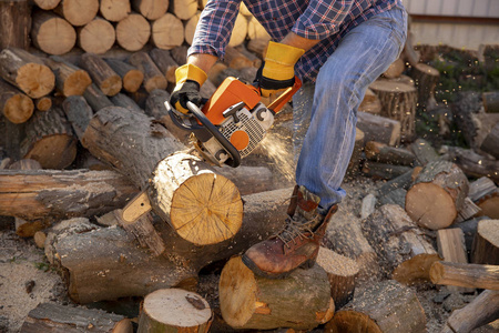电锯在行动锯木头.锯, 灰尘和运动切割木材的人照片