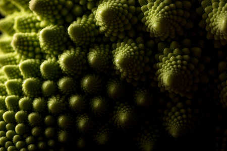 新鲜 romanesco 白菜, 宏观, 选择性聚焦