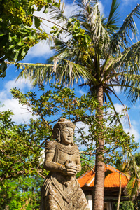 在巴厘岛的雕像