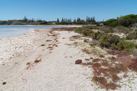 盐湖, Rottnest 岛, 西澳大利亚