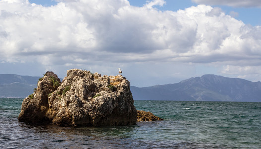 岩石在亚得里亚海上的海鸥