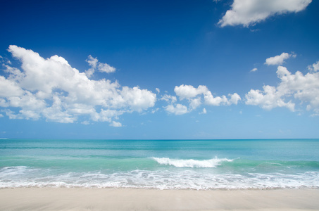 和棕榈树的日落美景海贝壳图标集海无缝模式夏季海滩海报模板背景复