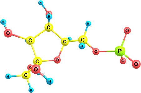 果糖分子结构在白色背景下的研究照片