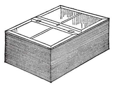 此插图表示用于存储植物扦插复古线条画或雕刻插图的传播框。