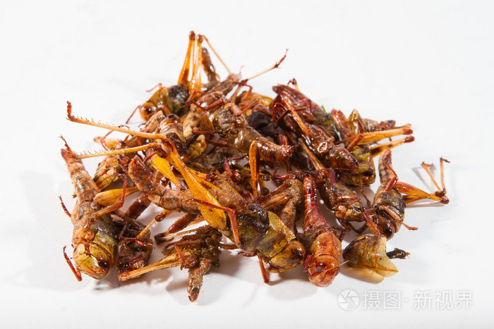 油炸的昆虫