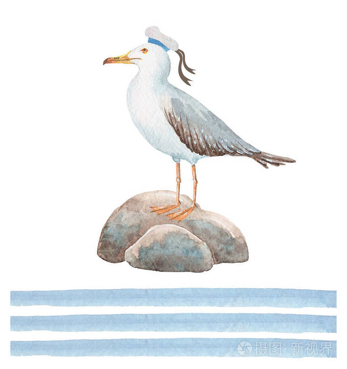 一组在海风格的海鸥在石头和装饰蓝色条纹的水彩图画