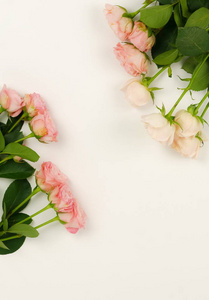 花卉背景。白色背景美丽的粉红色玫瑰花束。顶部视图。复制空间。假期