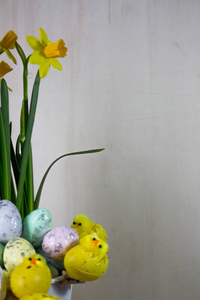 复活节彩蛋和小鸡藏在草地上, 水仙花