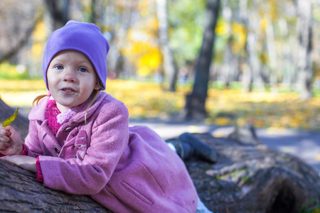小女孩在秋天公园户外的肖像