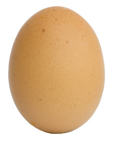 孤立在白色背景上的单只棕色的鸡鸡蛋