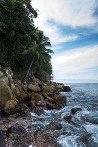 海滨Yelapa哈利斯科墨西哥的棕榈树美景