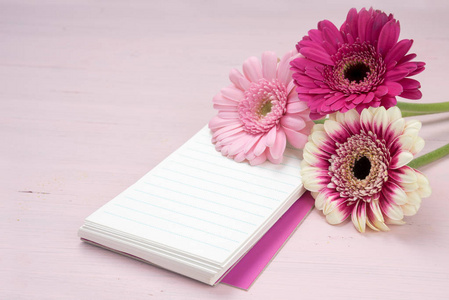 三非洲菊花躺在写字板上, 柔和的粉红色背景与复制空间, 选定焦点