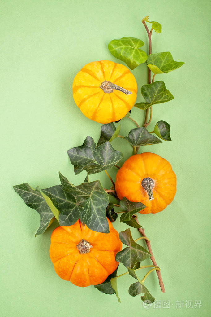 平躺的南瓜和叶子的彩色纸张背景复制空间.