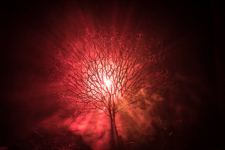 可怕的万圣节树的剪影与恐怖的脸在黑暗的雾色调背景与月球背面.