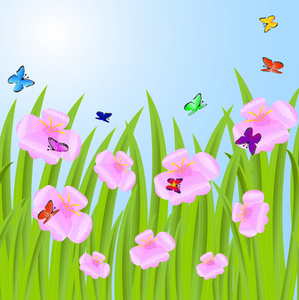 粉红色的花朵和蝴蝶的背景