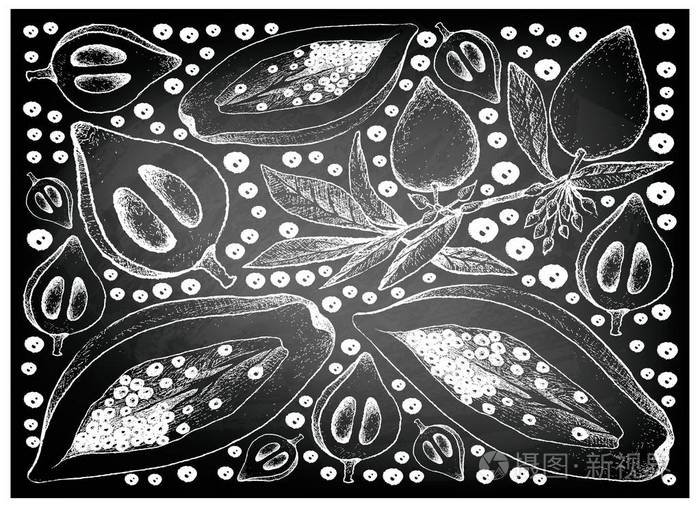 canistel 和木瓜水果手画在黑板上