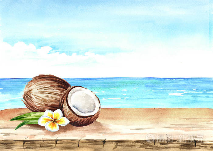 夏天背景与椰子 空的桌和海 水彩画手画插图照片 正版商用图片07dnnb 摄图新视界