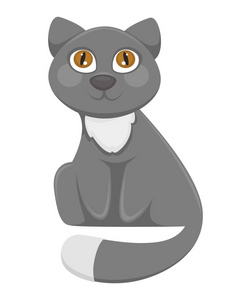 毛茸茸的家养猫, 长尾巴, 闪亮的眼睛和灰色的毛皮