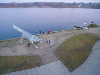 立陶宛 Siauliai 市金属狐雕塑鸟瞰图