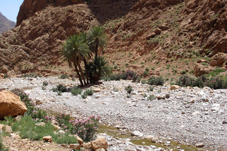 图德加河峡谷的自然风光, 摩洛哥