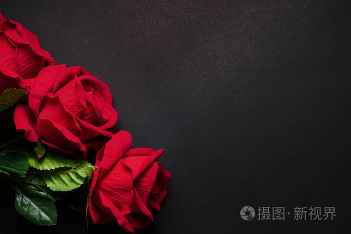 在黑色背景上关闭红玫瑰.文本的可用空间