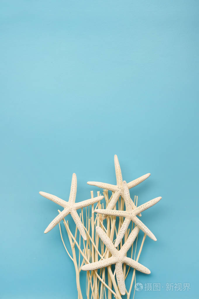 夏天的概念蓝色背景海星