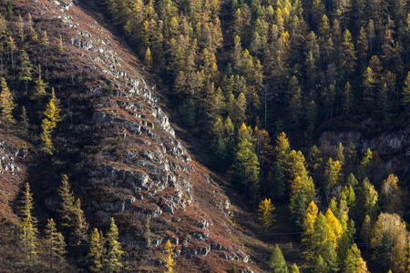 秋天山风景, 阿尔泰共和国, 俄国