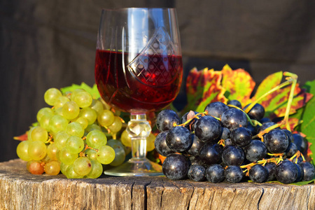 杯酒和葡萄木