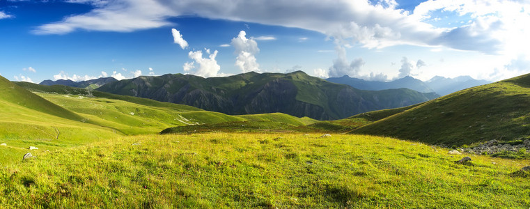 牧草在山谷之中