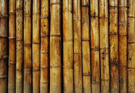 抽象竹木背景