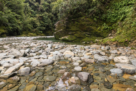 Wakamarina 河, 南岛, 新西兰