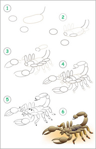 页面显示如何逐步学习画蝎子。培养儿童绘画和着色技能。矢量图像