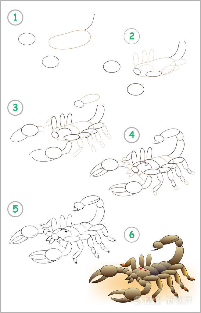 蝎子简笔画怎么画步骤图片