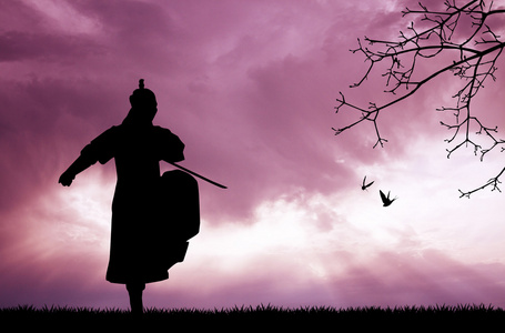 夕阳武士照片