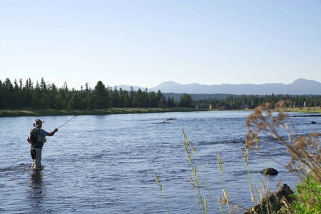 渔民 flyfishing 在爱达荷州河州