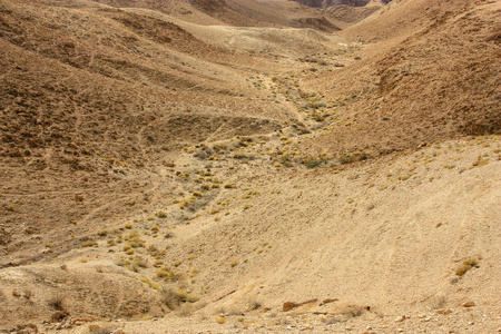 以色列南沙漠的景观