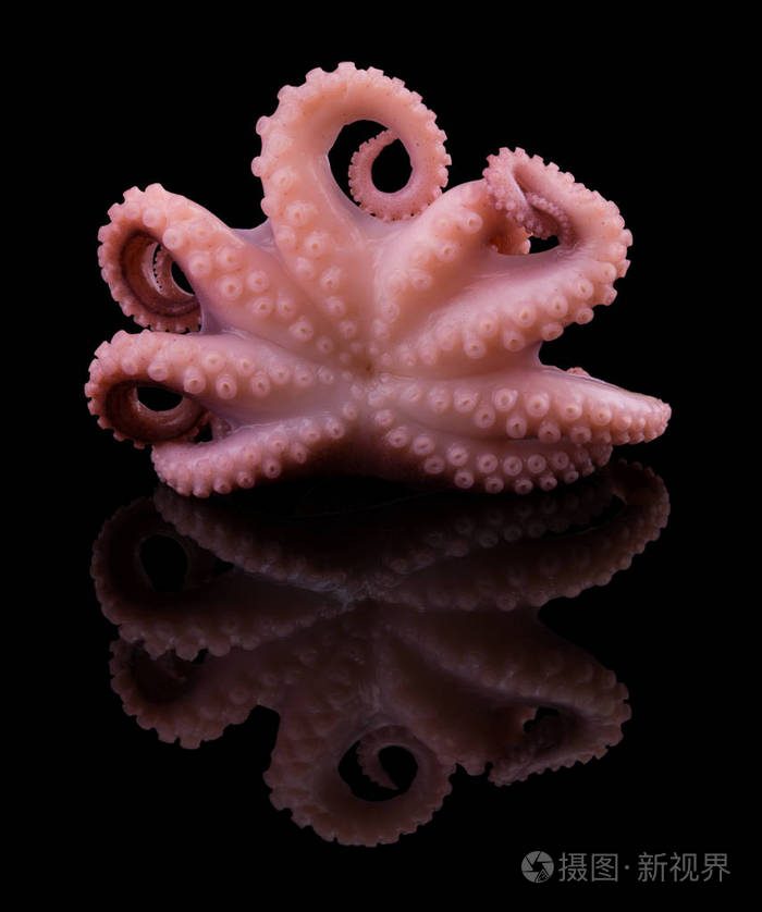 黑色背景的小章鱼使用剪切路径