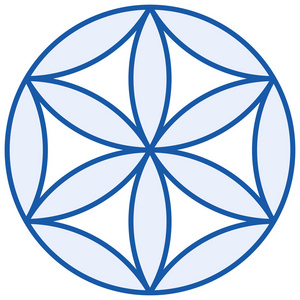 花之婴儿的生命之花照片