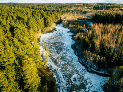 冬季森林的空中摄影