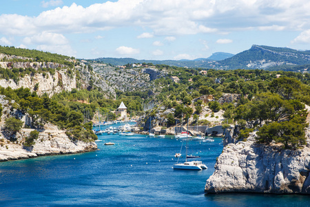 calanques 的黑醋栗，普罗旺斯，法国的端口引脚