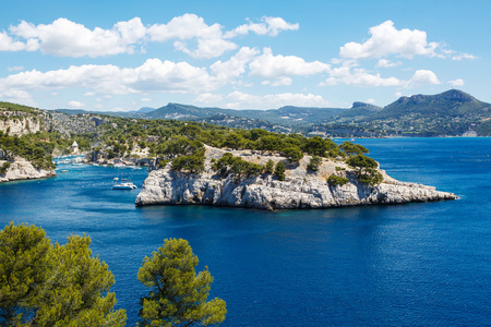 calanques 的黑醋栗，普罗旺斯，法国的端口引脚