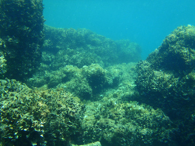 浮潜在亚得里亚海