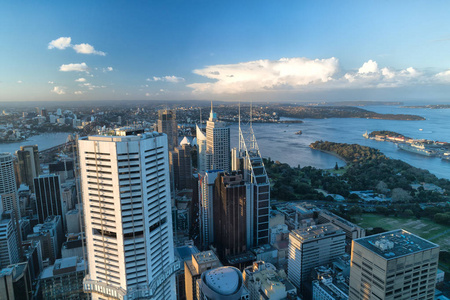 澳大利亚悉尼摩天大楼鸟图