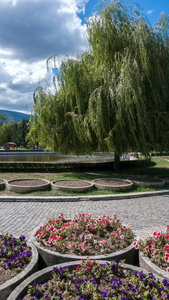 保加利亚索非亚城市南公园的树木和花园