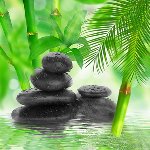 竹子石头简笔画图片