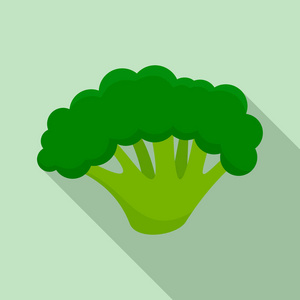 新鲜花椰菜图标, 扁平风格