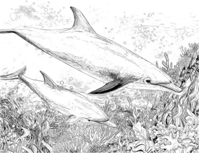 海底金枪鱼图片