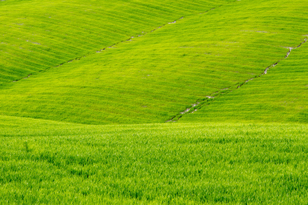 高尔夫球场戏剧图片-高尔夫球场戏剧素材-高尔夫球场戏剧插画-摄图新
