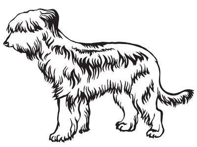 伯瑞犬矢量插图的装饰立画像