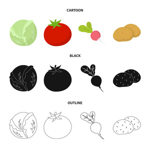 白菜白, 西红柿红, 米饭, 土豆。蔬菜集合图标在卡通, 黑色, 轮廓风格矢量符号股票插画网站